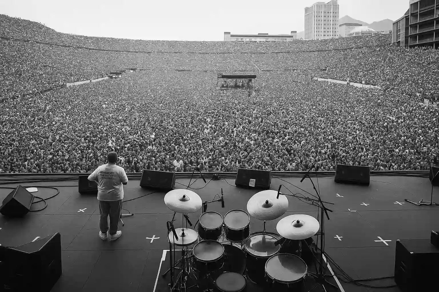 Feyline official brand logo